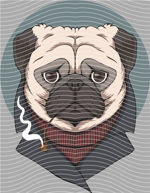 Street design-JT 4299